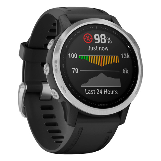 Умные часы Garmin Fenix 6S серебристый/черный