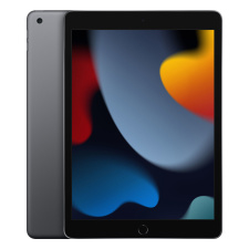 Планшет Apple iPad (2021) Wi-Fi 256Gb Серый