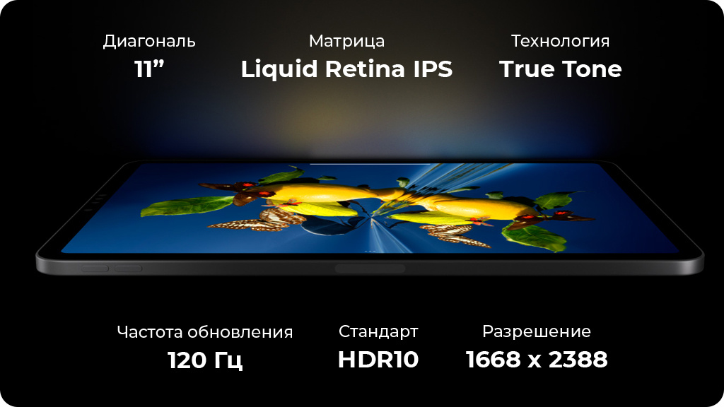 Apple iPad Pro 11 (2022) 128Gb Wi-Fi + Cellular Серебристый (Silver)