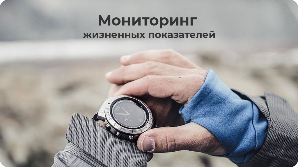 Умные часы Garmin Fenix Chronos (metal)