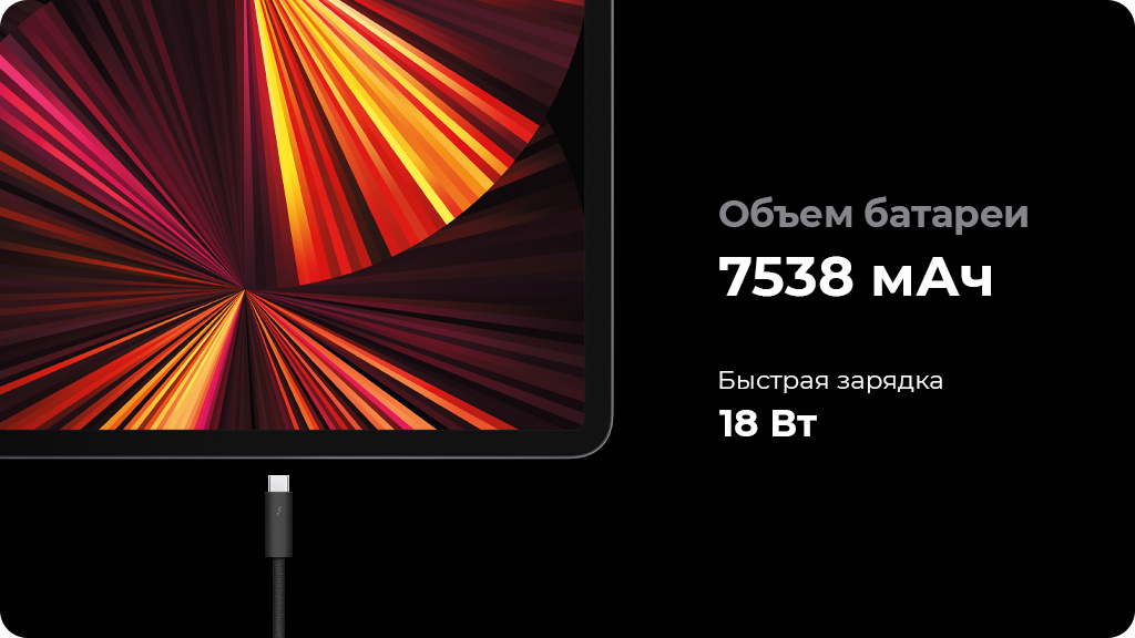 Apple iPad Pro 11 (2021) 256Gb Wi-Fi + Cellular Серый (Space gray)